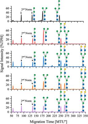 Cell-free N-glycosylation of peptides using synthetic lipid-linked hybrid and complex N-glycans